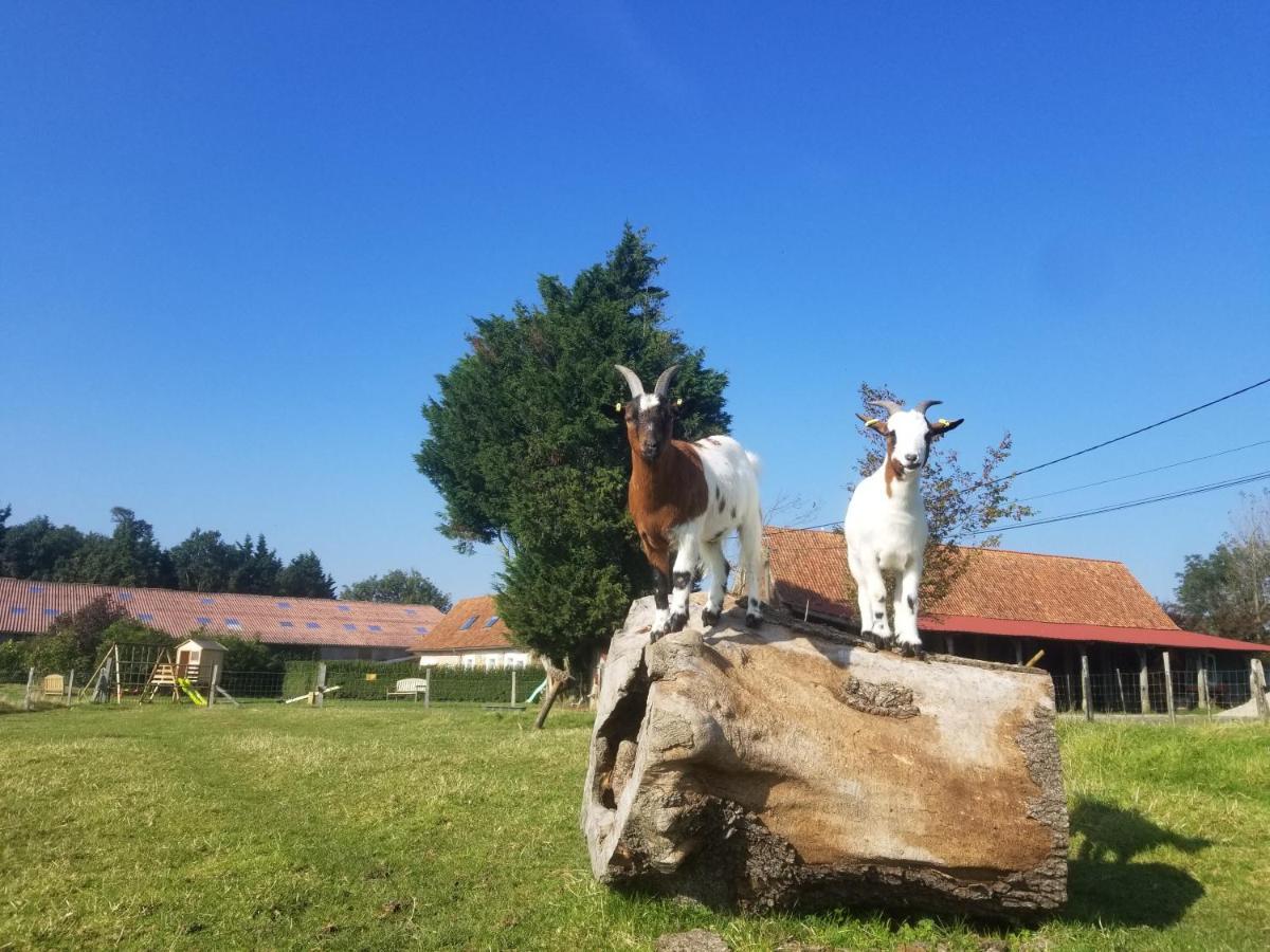 Les Coquelicots Villa Lacres Dış mekan fotoğraf